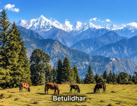 Baitulidhar