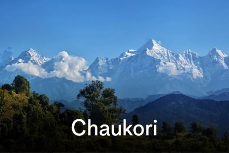 Chaukori