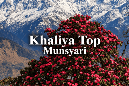 Khaliya top (1)