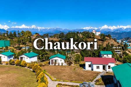 chaukoriiiii (1)