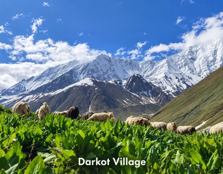 darkot village