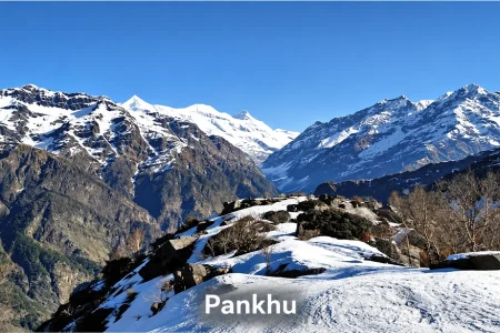 pankhu